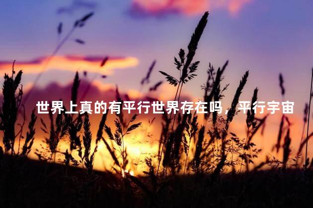 世界上真的有平行世界存在吗，平行宇宙真的存在吗？
