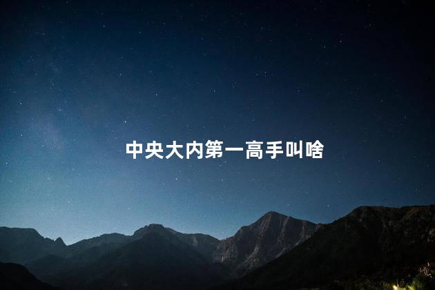 中央大内第一高手叫啥，中央大内第一高手是谁