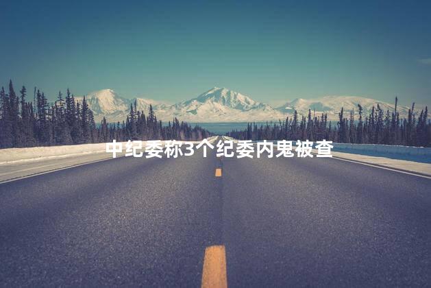 中纪委称3个纪委内鬼被查 再有厅官落马曾任党报记者
