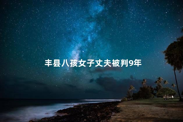 丰县八孩女子丈夫被判9年