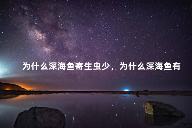 为什么深海鱼寄生虫少，为什么深海鱼有寄生虫