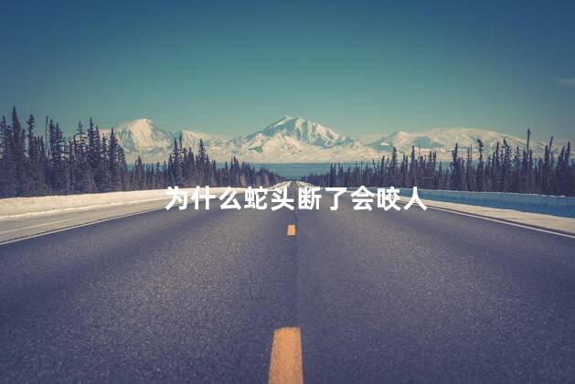 为什么蛇头断了会咬人，为什么蛇头断了身体还能动
