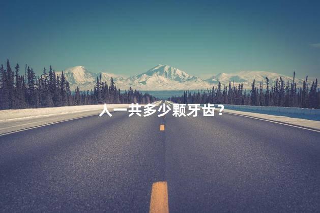 人一共多少颗牙齿？