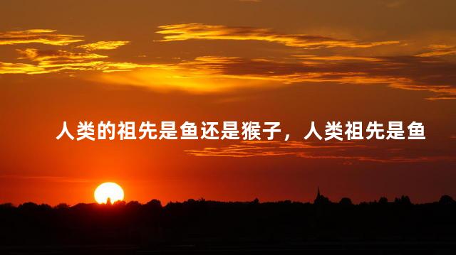 人类的祖先是鱼还是猴子，人类祖先是鱼还是猿