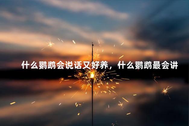 什么鹦鹉会说话又好养，什么鹦鹉最会讲话