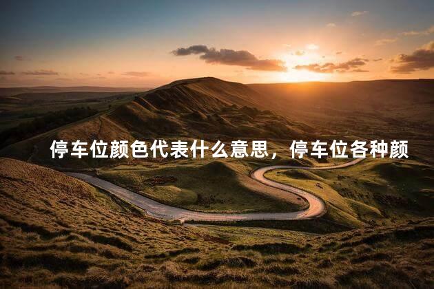停车位颜色代表什么意思，停车位各种颜色代表什么意思？