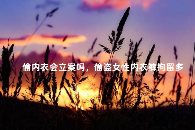 偷内衣会立案吗，偷盗女性内衣裤拘留多少天