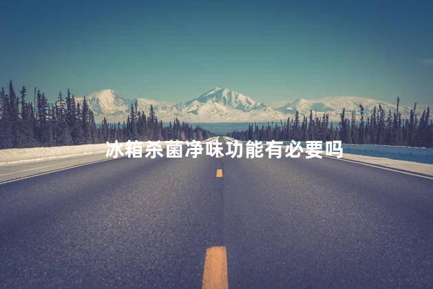 冰箱杀菌净味功能有必要吗