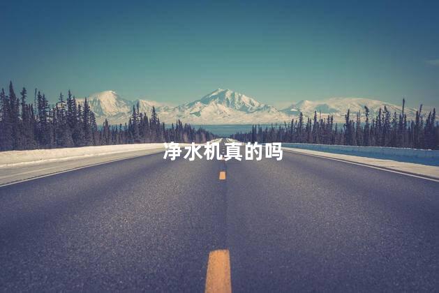净水机真的吗