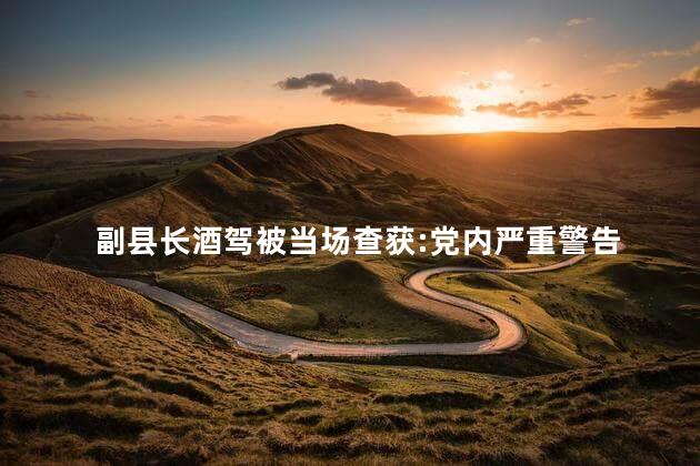 副县长酒驾被当场查获:党内严重警告