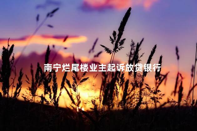南宁烂尾楼业主起诉放贷银行 导致业主们多年来无法入住