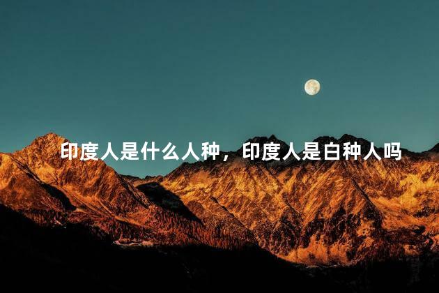 印度人是什么人种，印度人是白种人吗