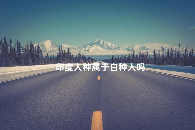 印度人种属于白种人吗，印度人属于白种人?