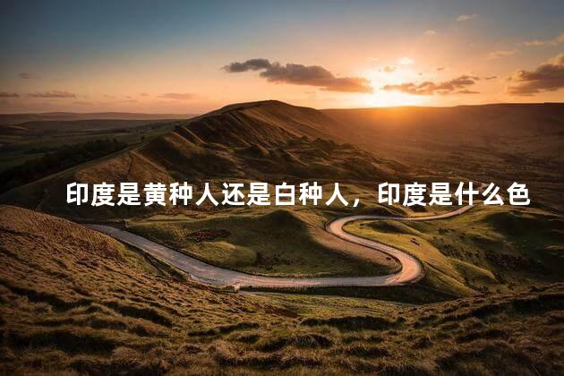 印度是黄种人还是白种人，印度是什么色系人种