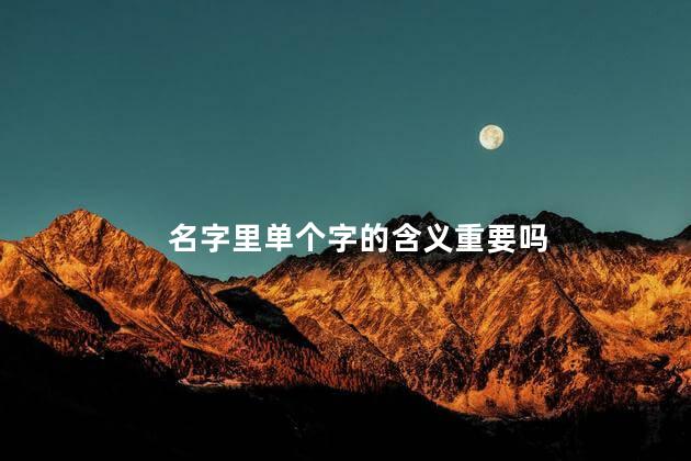 名字里单个字的含义重要吗