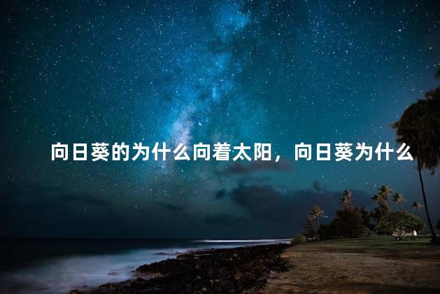 向日葵的为什么向着太阳，向日葵为什么向着太阳的原因