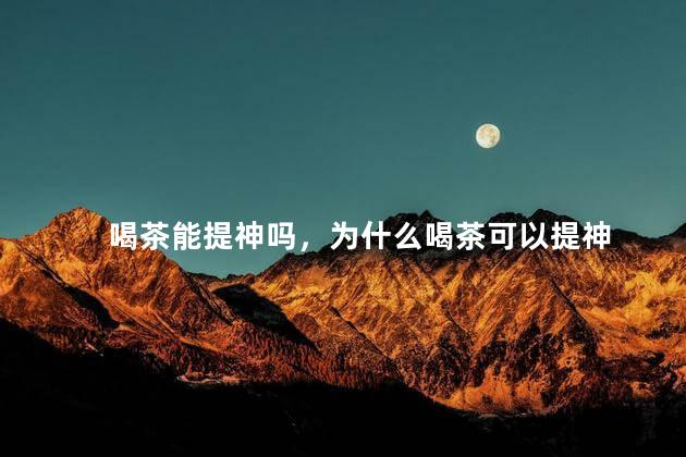 喝茶能提神吗，为什么喝茶可以提神