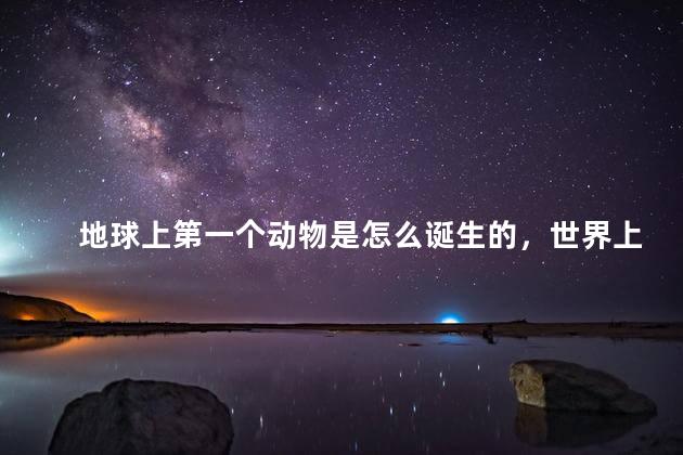 地球上第一个动物是怎么诞生的，世界上第一个动物是怎么诞生的