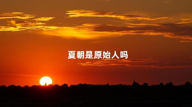 夏朝是原始人吗，夏朝是原始人吗为什么