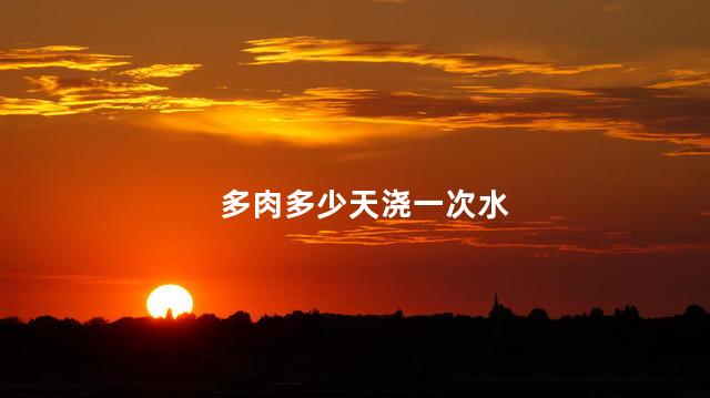 多肉多少天浇一次水，多肉植物怎么浇水