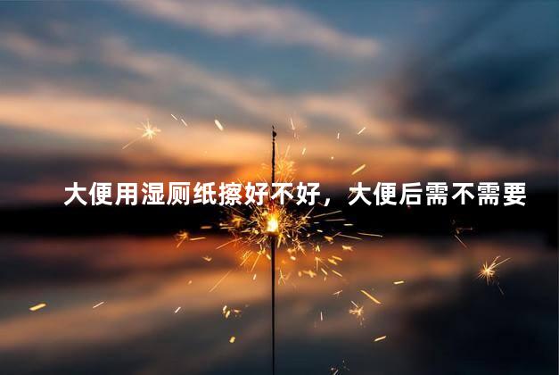 大便用湿厕纸擦好不好，大便后需不需要用湿纸巾擦拭