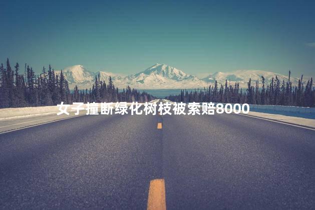 女子撞断绿化树枝被索赔8000 男子被绿化树砸伤获赔370万
