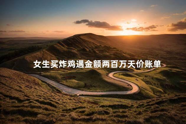 女生买炸鸡遇金额两百万天价账单 女生买炸鸡付款一看两百万