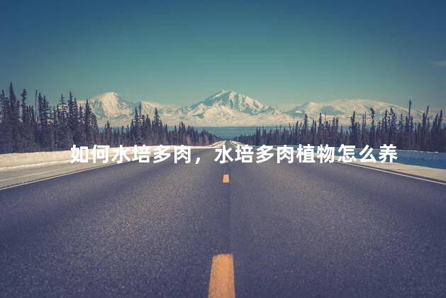 如何水培多肉，水培多肉植物怎么养