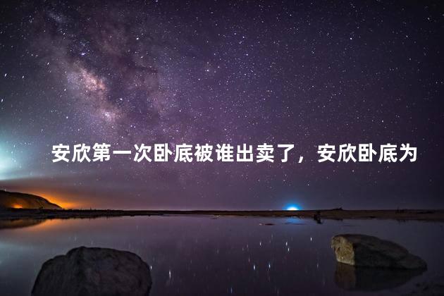 安欣第一次卧底被谁出卖了，安欣卧底为什么失败