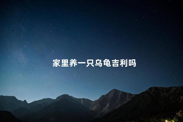 家里养一只乌龟吉利吗，家里养一只乌龟好不好