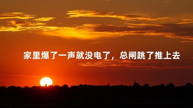 家里爆了一声就没电了，总闸跳了推上去又掉下来