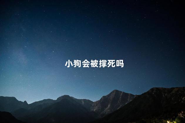 小狗会被撑死吗，狗子会被撑死吗