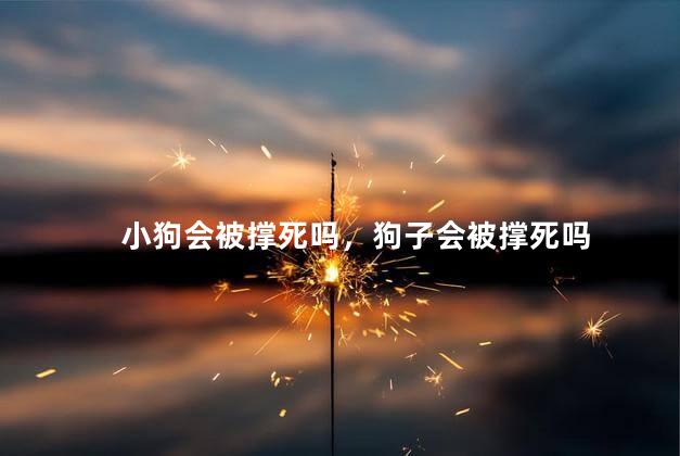 小狗会被撑死吗，狗子会被撑死吗