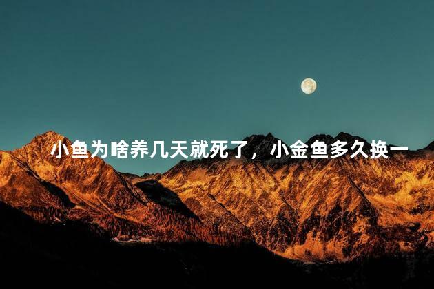 小鱼为啥养几天就死了，小金鱼多久换一次水