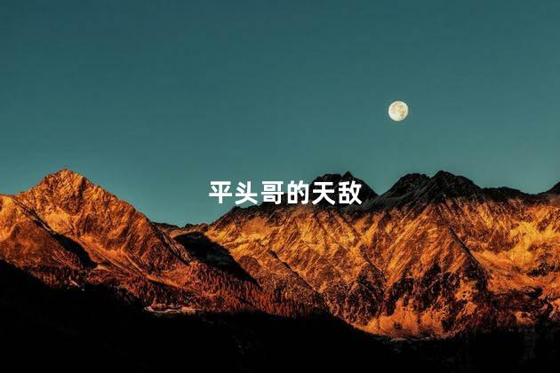 平头哥的天敌，平头哥的天敌是什么动物