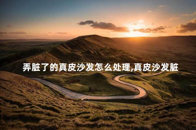 弄脏了的真皮沙发怎么处理，真皮沙发脏了怎么清洗有哪些方法