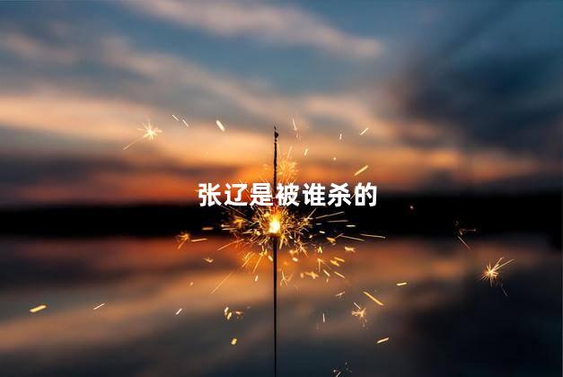 张辽是给谁杀的，张辽是怎么死的
