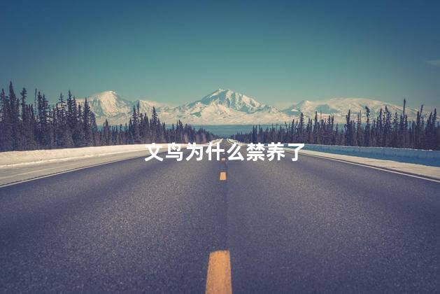 文鸟为什么禁养了，为什么养文鸟的很少
