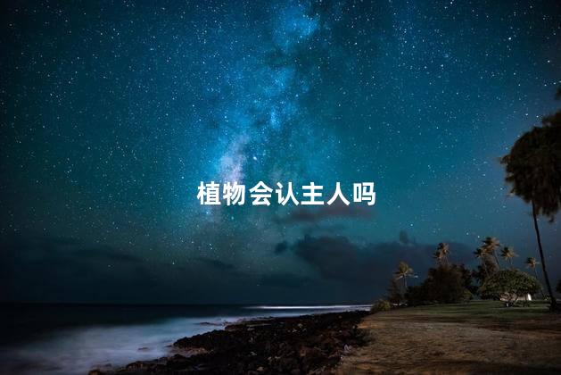 植物会认主人吗，植物会认识主人吗