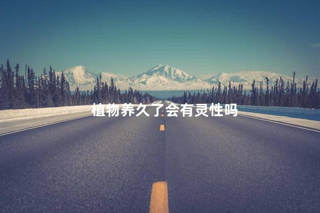 植物养久了会有灵性吗，植物有灵性吗