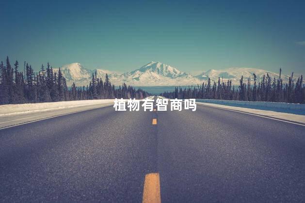 植物有智商吗