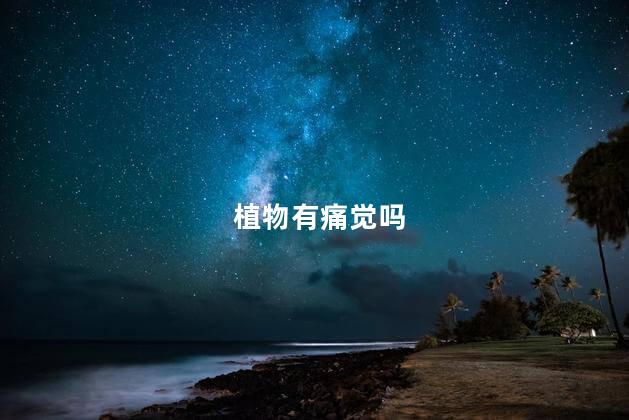 植物有痛觉吗，植物被吃会疼吗