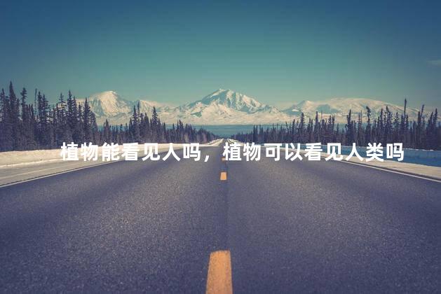 植物能看见人吗，植物可以看见人类吗