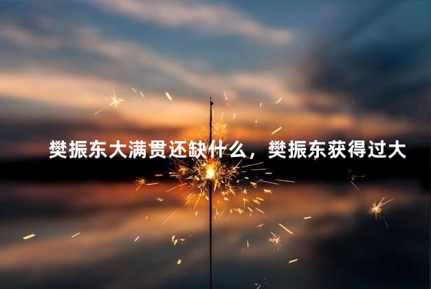 樊振东大满贯还缺什么，樊振东获得过大满贯吗