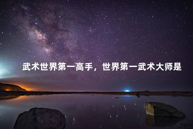 武术世界第一高手，世界第一武术大师是谁