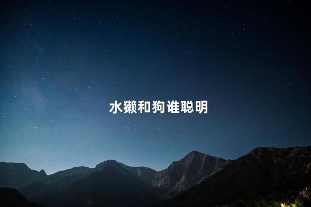 水獭和狗谁聪明，水獭和狗谁聪明一点
