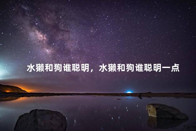 水獭和狗谁聪明，水獭和狗谁聪明一点