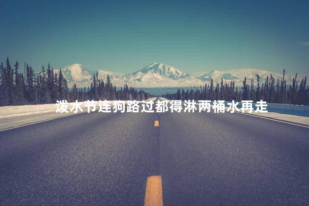 泼水节连狗路过都得淋两桶水再走