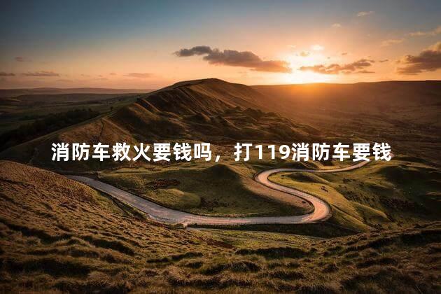 消防车救火要钱吗，打119消防车要钱吗