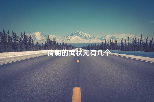 清朝的武状元有几个，清朝武状元有多少人
